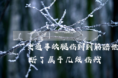 工伤手筋断了十级伤残