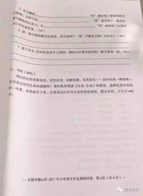 2020小学六年级毕业试卷语文作文