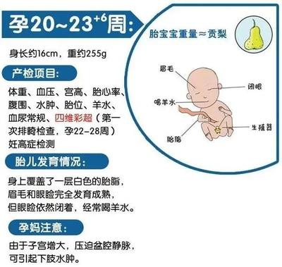 怀孕初期做哪些检查项目