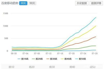 2020年网站优化只能依靠快排上排名吗?