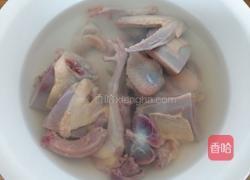 炖鸽子汤的做法