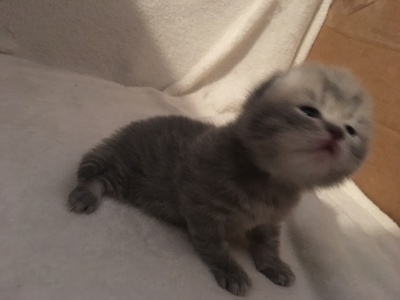 我想看生宝宝的