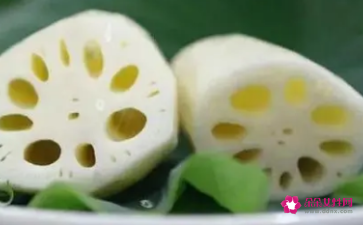 莲藕宝宝