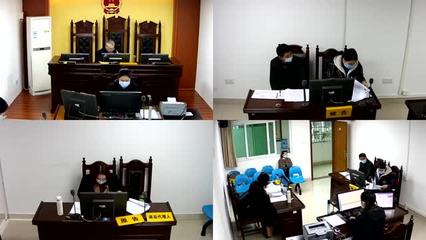 业主撤销权纠纷