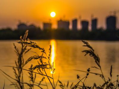 【原创】冬日暖阳下的窗台（散文）