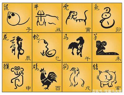 印度十二生肖