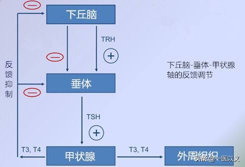 甲减需要怎么治疗
