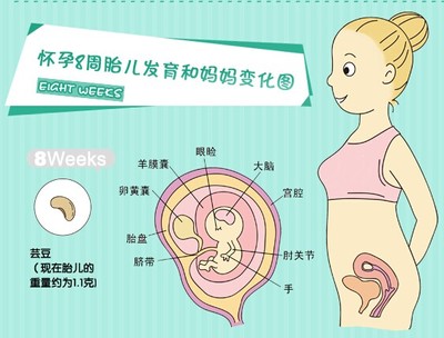 怀孕初期症状会不会小腹痛