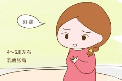 停经了会不会怀孕