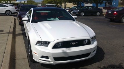 mustang英文
