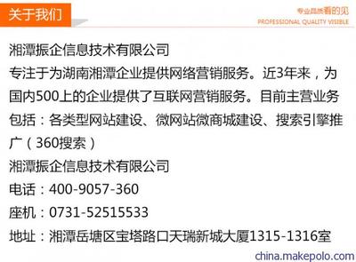 湘潭网站建设网络推广湘潭振企公司图片,湘潭网站建设网络推广湘潭振企公司图片大全,湘潭振企信息技术有限公司-7-马可波罗网