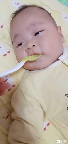 7个月宝宝能吃什么