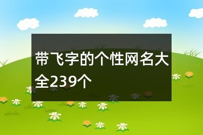 飞字网名