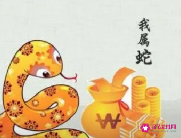 属猪跟属蛇的相配吗