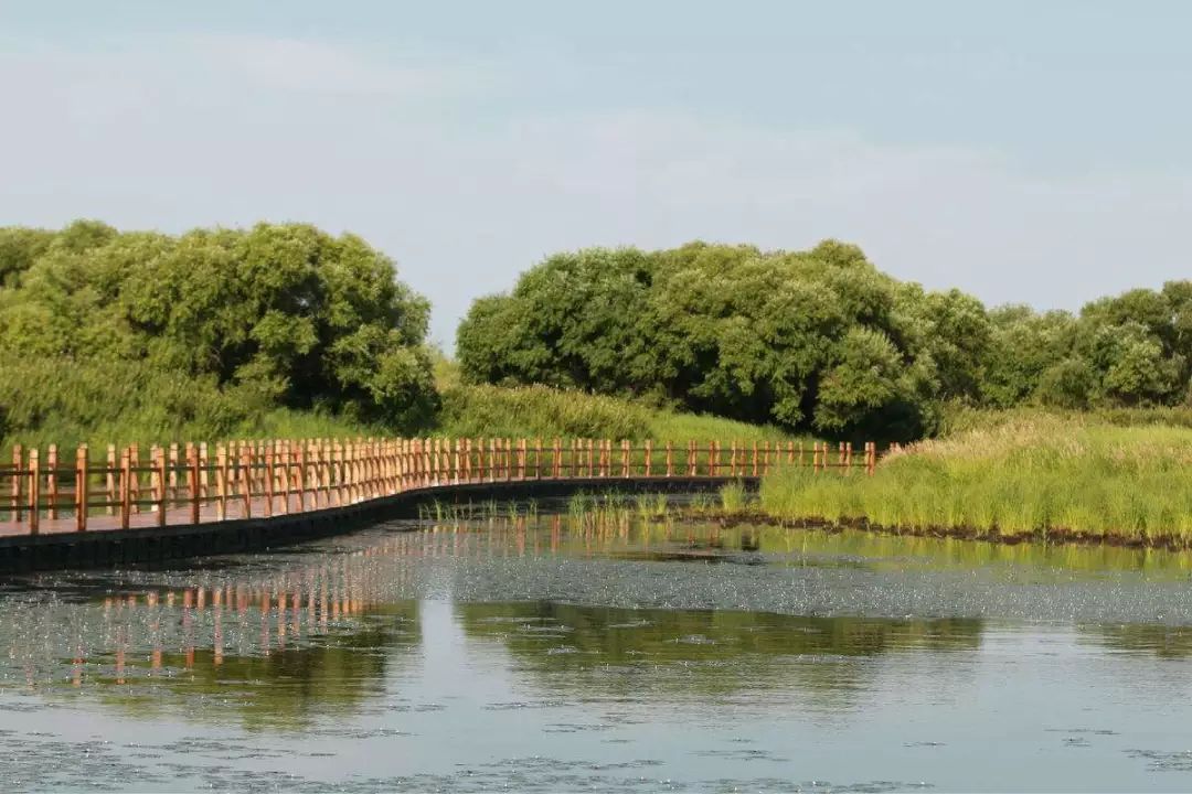 老洪港湿地公园