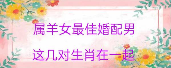 属羊女最佳婚配属相