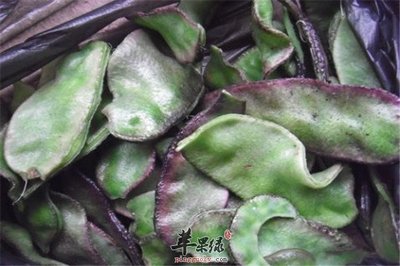 孕妇可以吃白眉豆吗