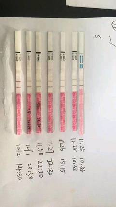 月经第二十天是排卵期吗