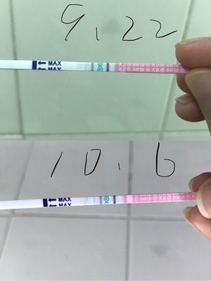 月经几天是排卵期