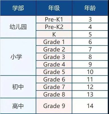 深圳国际学校排名前十