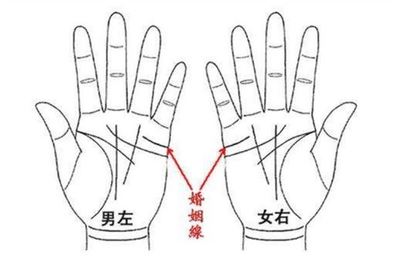 手相没有婚姻线