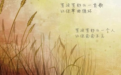 好听的狐狸名字