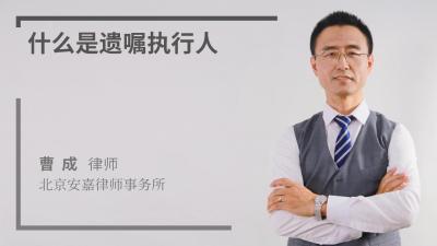 执行人什么意思