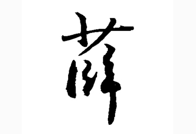 薛的名字男孩