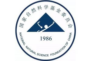青年长江学者论文“404” 学位论文都删了