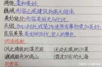 书写漂亮的字该怎么形容