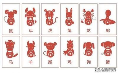 五光十色指什么生肖