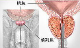 阳逶要看多少钱