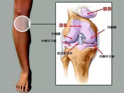 膝关节累是怎么回事啊