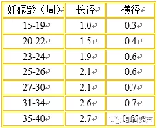 怀孕胎儿大小对照表