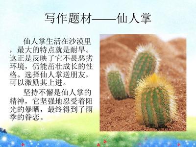 以仙人掌喻人作文600字作文怎么写