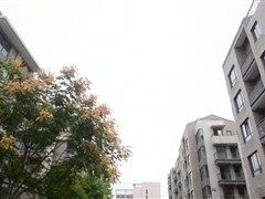 歙县租房信息