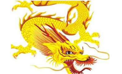 属龙的和属龙的相配吗