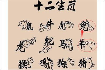 女属猪婚配