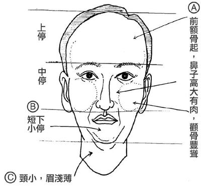 鼻子短的女人面相