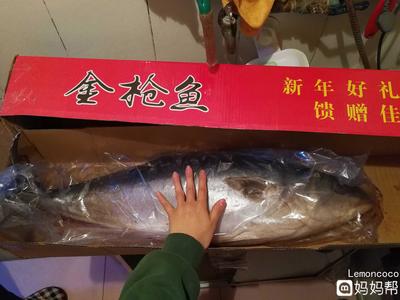 孕妇能吃金枪鱼罐头吗