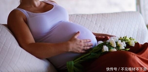 月子网