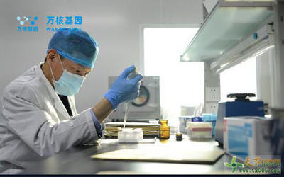 亲子鉴定血样采集