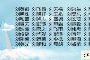 刘姓男宝宝起名