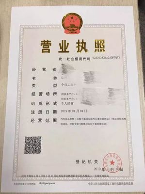 分公司营业执照样本