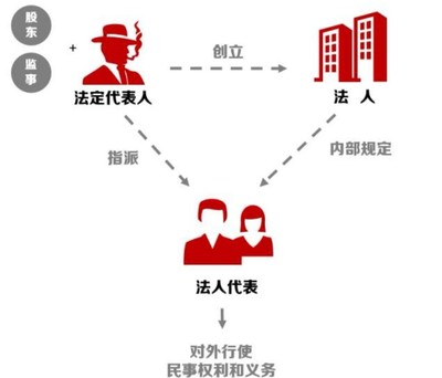 公司法人和股东的区别