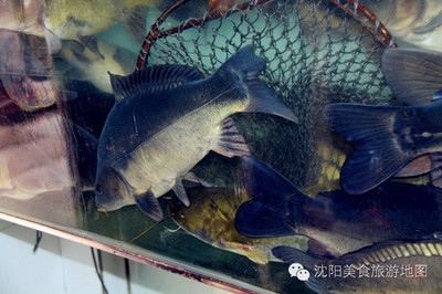 惠州市惠城區(qū)銘幻水族館（惠州銘軒）