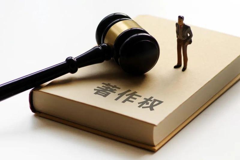 诉讼方