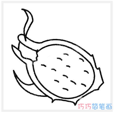 火龙果怎么画简单漂亮_火龙果简笔画图片