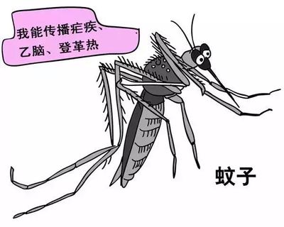 蚊子喜欢热还是喜欢冷