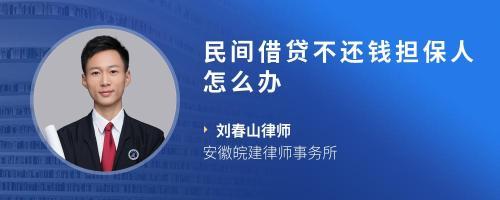 强制执行担保人怎么办